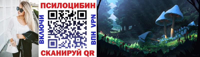 купить закладку  Калининск  Галлюциногенные грибы мухоморы 